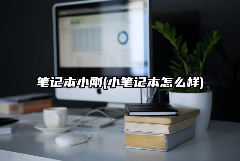 筆記本小剛(小筆記本怎么樣)