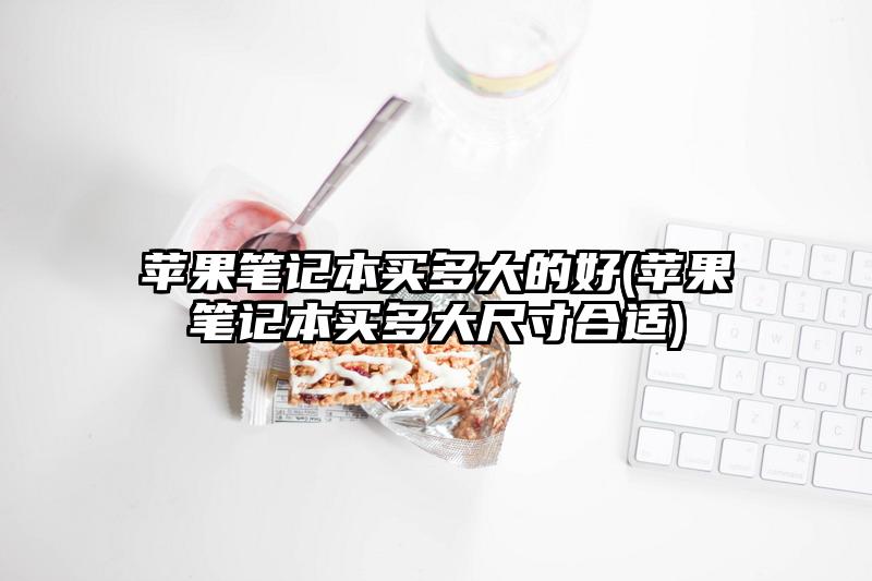 蘋果筆記本買多大的好(蘋果筆記本買多大尺寸合適)