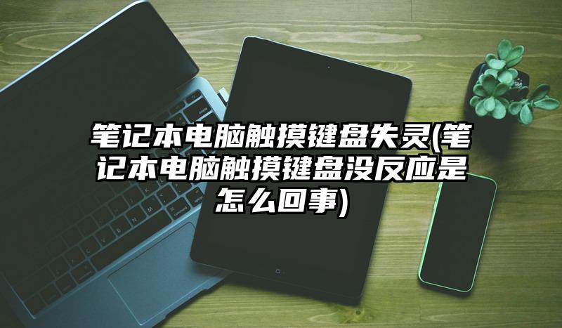 筆記本電腦觸摸鍵盤失靈(筆記本電腦觸摸鍵盤沒反應是怎么回事)