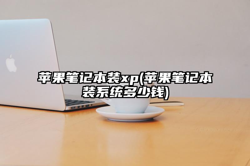 蘋果筆記本裝xp(蘋果筆記本裝系統多少錢)