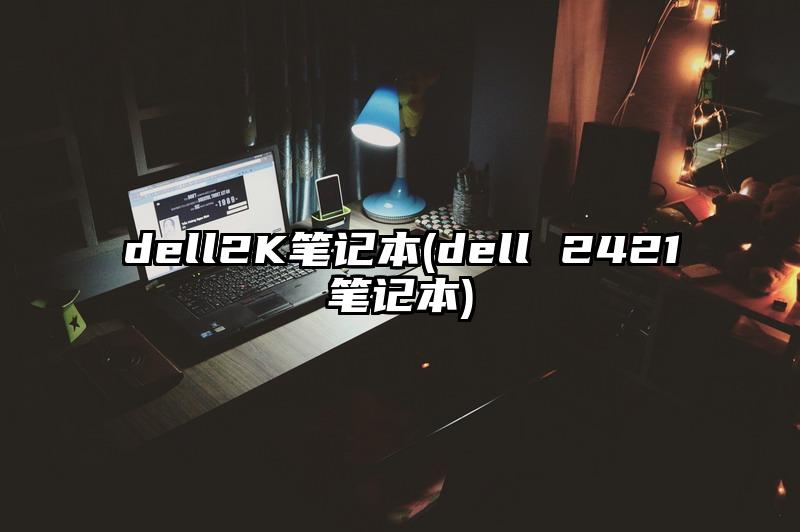 dell2K筆記本(dell 2421筆記本)