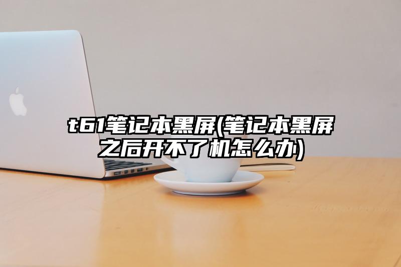 t61筆記本黑屏(筆記本黑屏之后開不了機怎么辦)