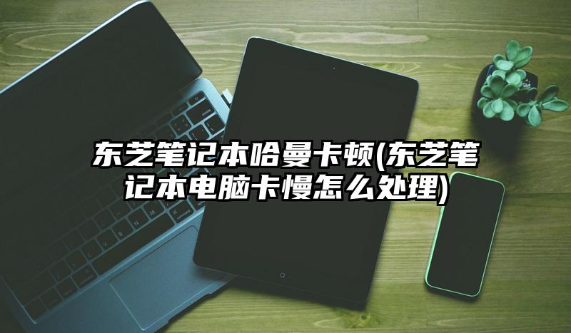 東芝筆記本哈曼卡頓(東芝筆記本電腦卡慢怎么處理)