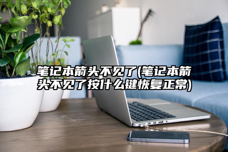 筆記本箭頭不見了(筆記本箭頭不見了按什么鍵恢復正常)