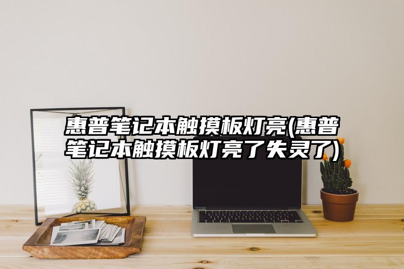 惠普筆記本觸摸板燈亮(惠普筆記本觸摸板燈亮了失靈了)