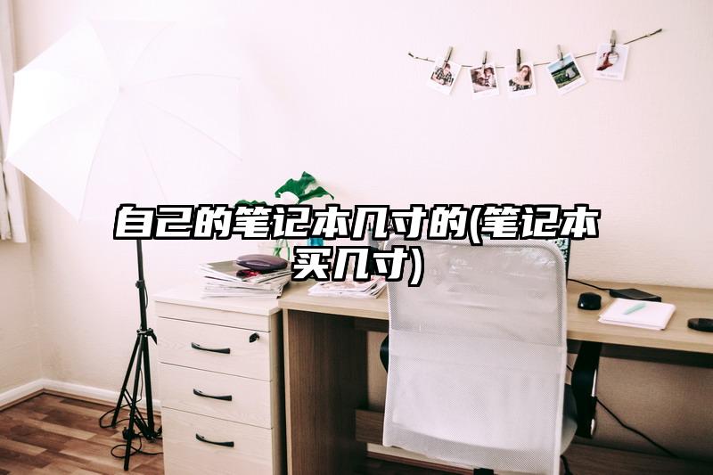 自己的筆記本幾寸的(筆記本買幾寸)