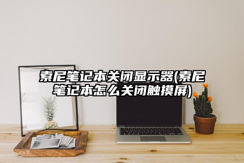 索尼筆記本關閉顯示器(索尼筆記本怎么關閉觸摸屏)