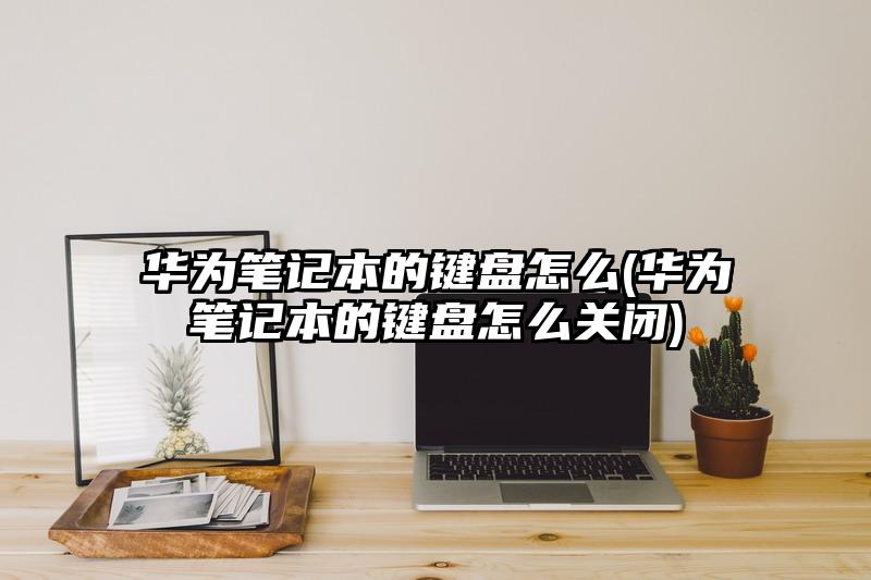 華為筆記本的鍵盤怎么(華為筆記本的鍵盤怎么關(guān)閉)