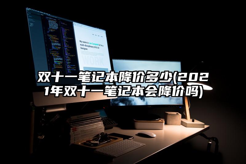 雙十一筆記本降價多少(2021年雙十一筆記本會降價嗎)