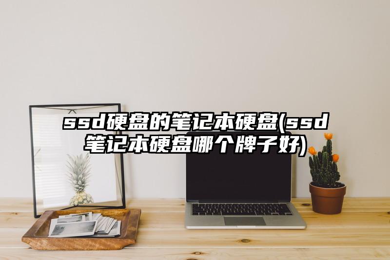 ssd硬盤的筆記本硬盤(ssd筆記本硬盤哪個牌子好)