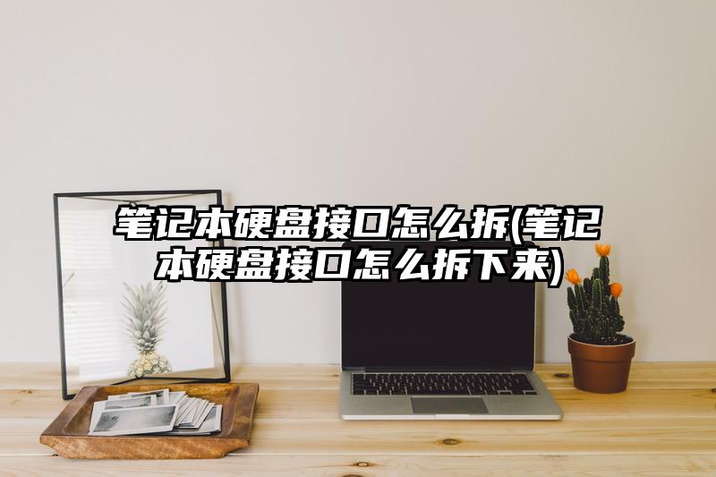 筆記本硬盤接口怎么拆(筆記本硬盤接口怎么拆下來)