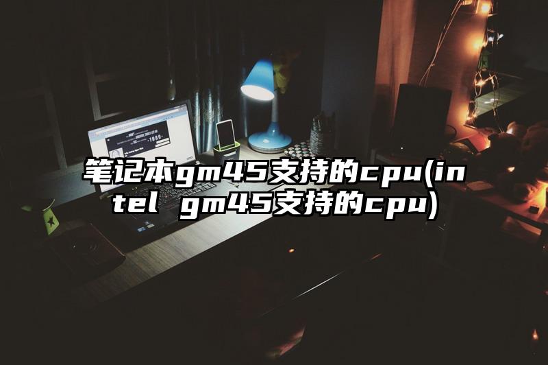 筆記本gm45支持的cpu(intel gm45支持的cpu)