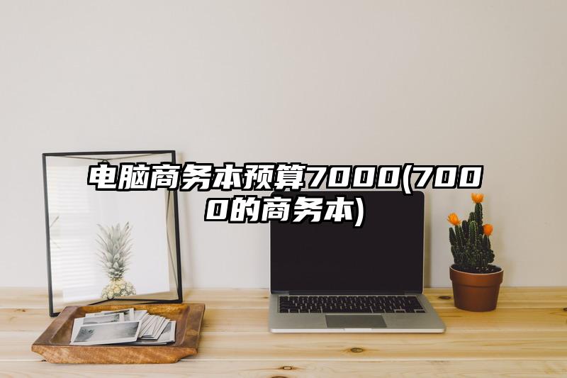 電腦商務(wù)本預(yù)算7000(7000的商務(wù)本)