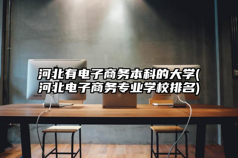 河北有電子商務本科的大學(河北電子商務專業學校排名)