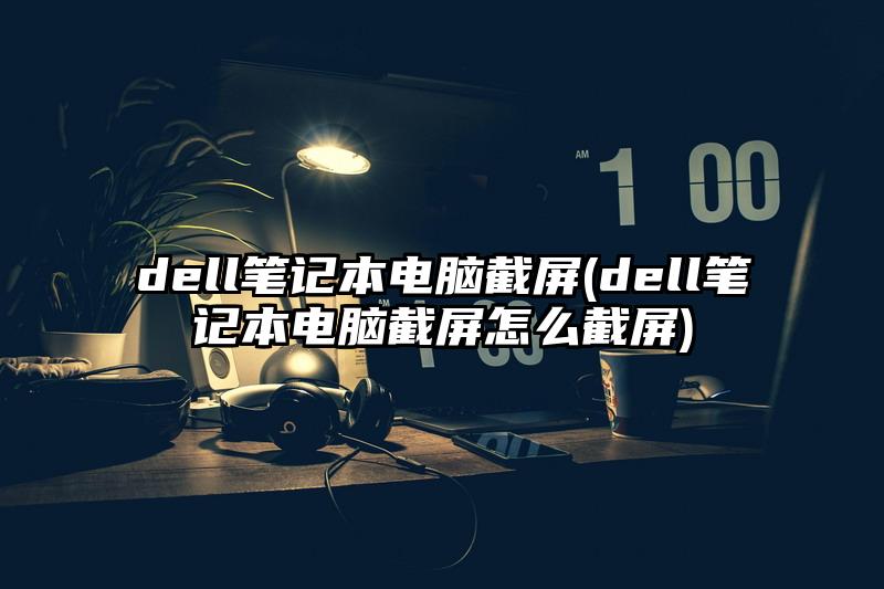 dell筆記本電腦截屏(dell筆記本電腦截屏怎么截屏)
