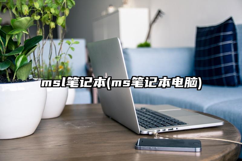 msl筆記本(ms筆記本電腦)