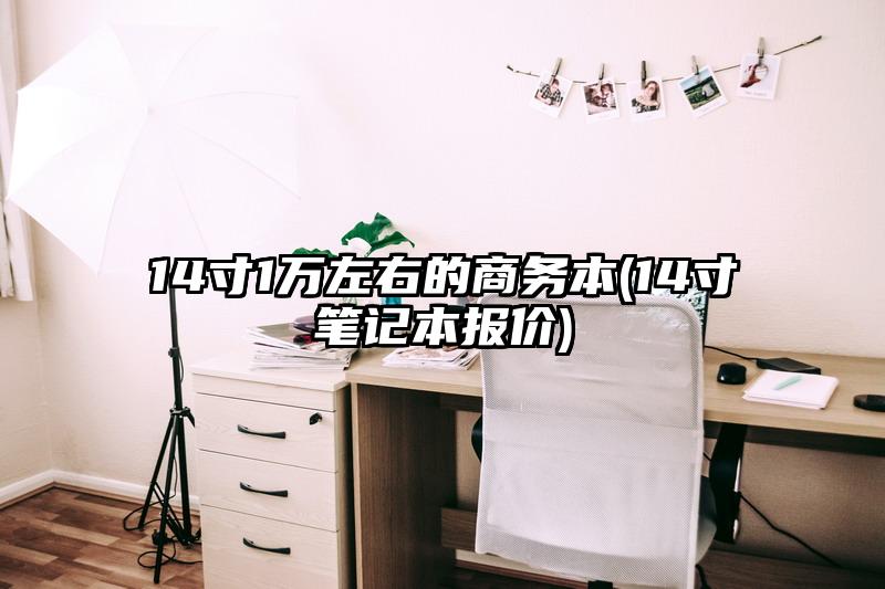 14寸1萬左右的商務本(14寸筆記本報價)
