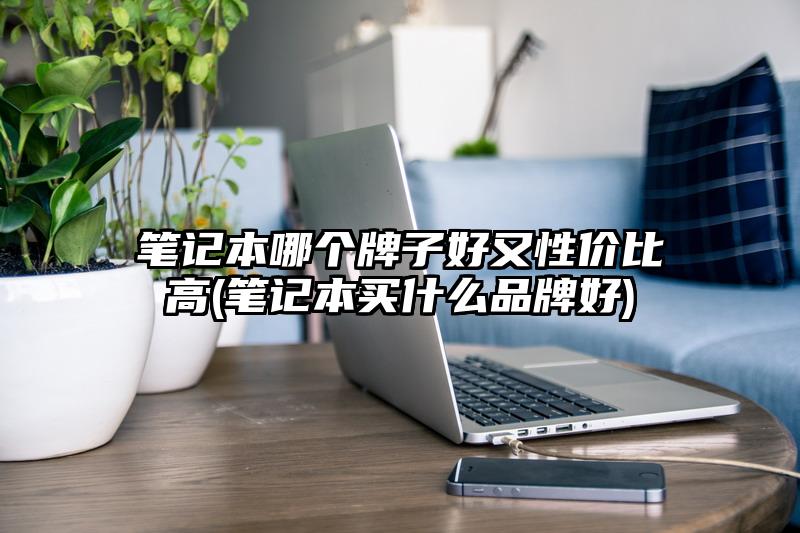 筆記本哪個牌子好又性價比高(筆記本買什么品牌好)