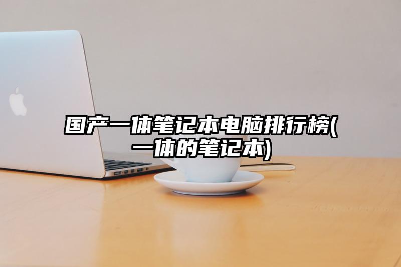 國產一體筆記本電腦排行榜(一體的筆記本)