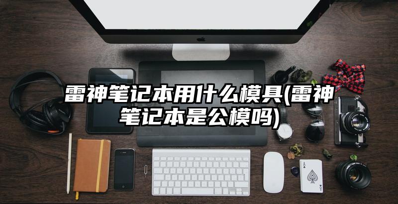 雷神筆記本用什么模具(雷神筆記本是公模嗎)