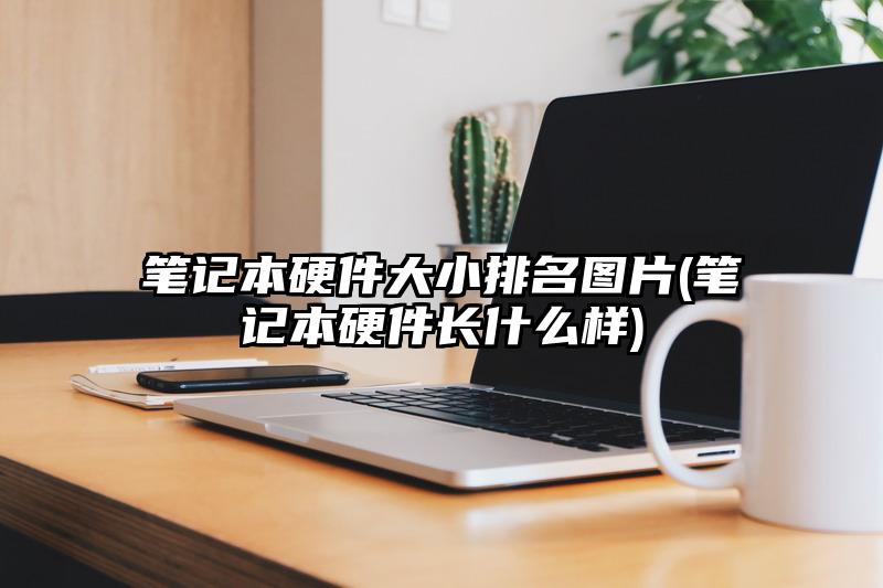 筆記本硬件大小排名圖片(筆記本硬件長什么樣)
