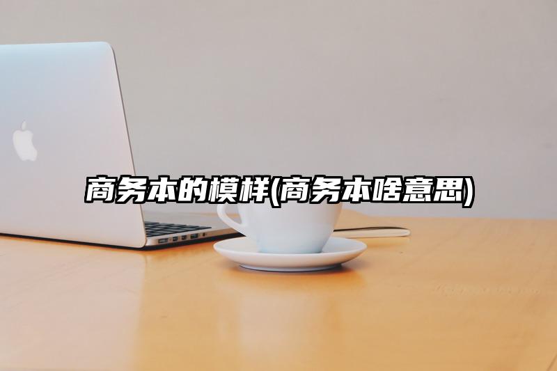 商務本的模樣(商務本啥意思)
