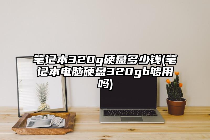 筆記本320g硬盤多少錢(筆記本電腦硬盤320gb夠用嗎)