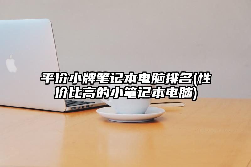 平價小牌筆記本電腦排名(性價比高的小筆記本電腦)
