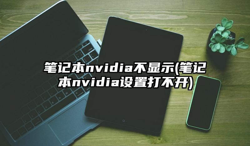 筆記本nvidia不顯示(筆記本nvidia設(shè)置打不開)