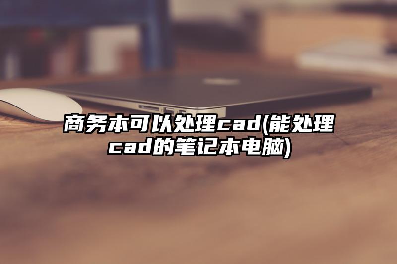 商務本可以處理cad(能處理cad的筆記本電腦)