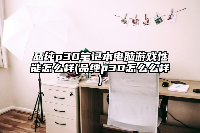 品純p30筆記本電腦游戲性能怎么樣(品純p30怎么么樣)