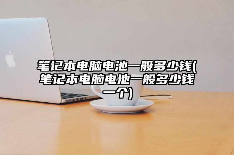 筆記本電腦電池一般多少錢(筆記本電腦電池一般多少錢一個)