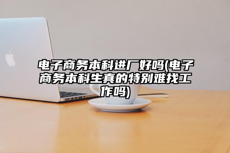 電子商務(wù)本科進(jìn)廠好嗎(電子商務(wù)本科生真的特別難找工作嗎)