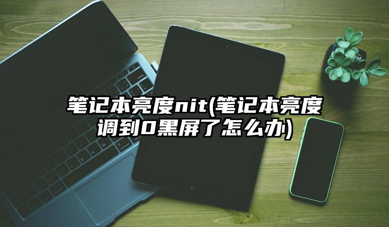 筆記本亮度nit(筆記本亮度調到0黑屏了怎么辦)
