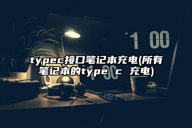 typec接口筆記本充電(所有筆記本的type c 充電)