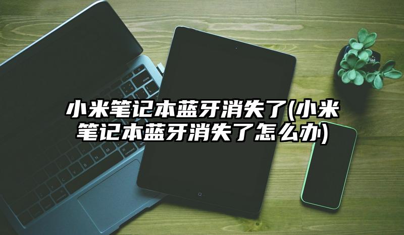 小米筆記本藍牙消失了(小米筆記本藍牙消失了怎么辦)