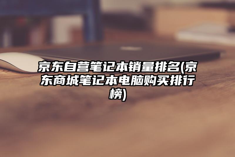 京東自營筆記本銷量排名(京東商城筆記本電腦購買排行榜)