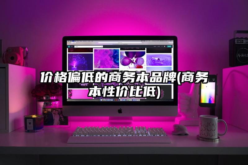 價格偏低的商務本品牌(商務本性價比低)