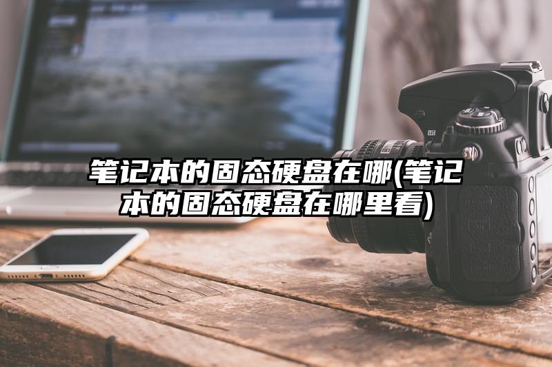 筆記本的固態硬盤在哪(筆記本的固態硬盤在哪里看)