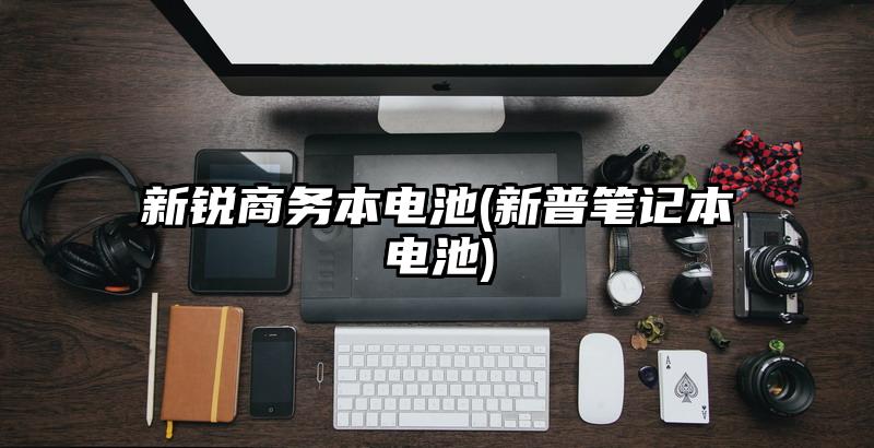 新銳商務本電池(新普筆記本電池)