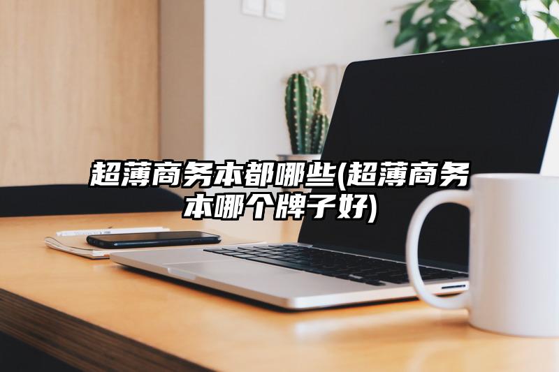 超薄商務本都哪些(超薄商務本哪個牌子好)