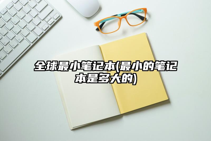 全球最小筆記本(最小的筆記本是多大的)