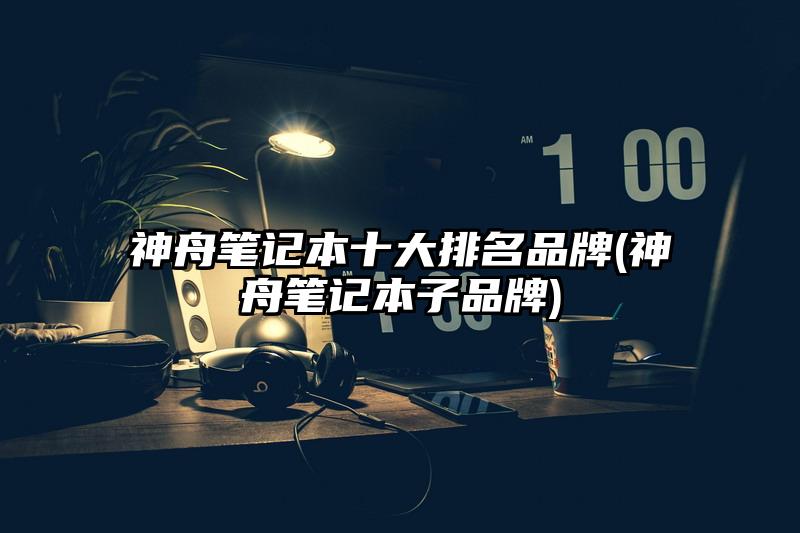 神舟筆記本十大排名品牌(神舟筆記本子品牌)