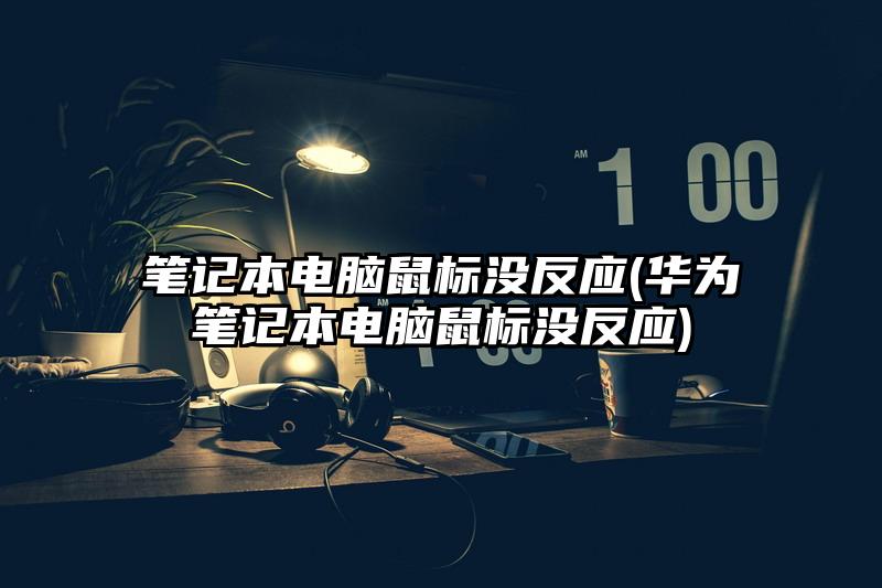 筆記本電腦鼠標(biāo)沒反應(yīng)(華為筆記本電腦鼠標(biāo)沒反應(yīng))