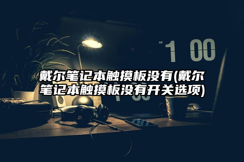 戴爾筆記本觸摸板沒有(戴爾筆記本觸摸板沒有開關選項)