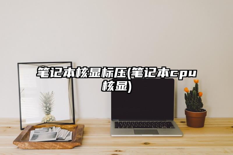筆記本核顯標壓(筆記本cpu核顯)