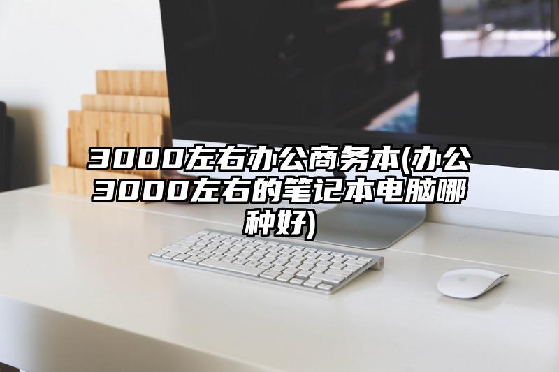 3000左右辦公商務(wù)本(辦公3000左右的筆記本電腦哪種好)