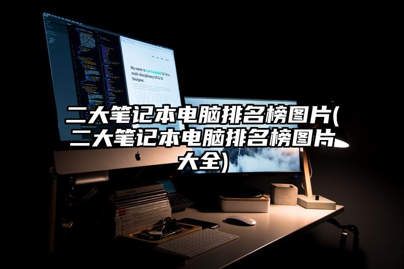 二大筆記本電腦排名榜圖片(二大筆記本電腦排名榜圖片大全)