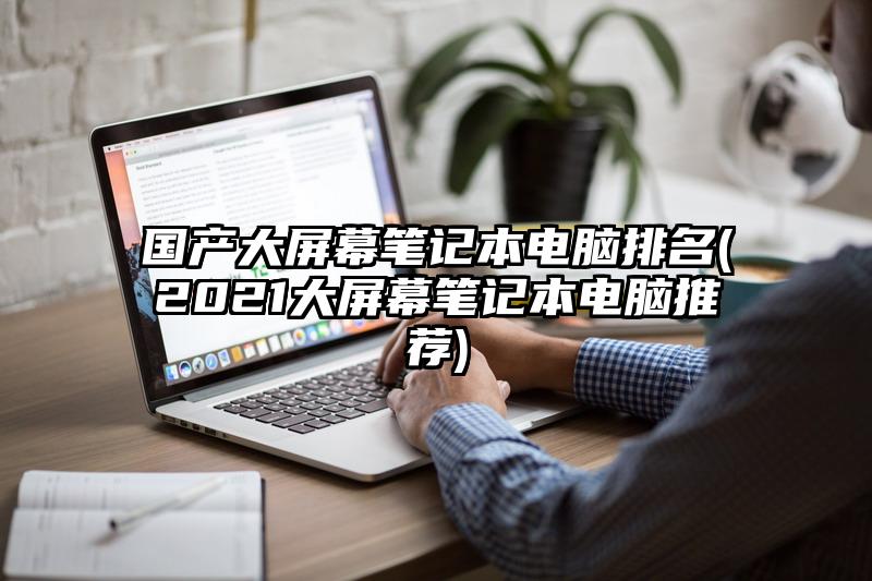 國產(chǎn)大屏幕筆記本電腦排名(2021大屏幕筆記本電腦推薦)