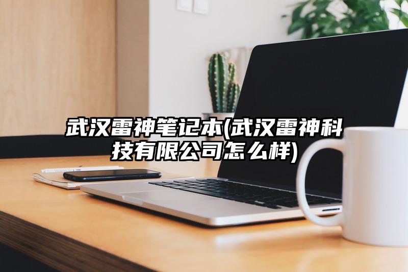 武漢雷神筆記本(武漢雷神科技有限公司怎么樣)